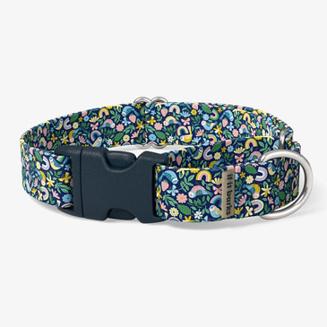 front view of collar front view of collar